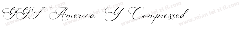 GGT America Y Compressed字体转换